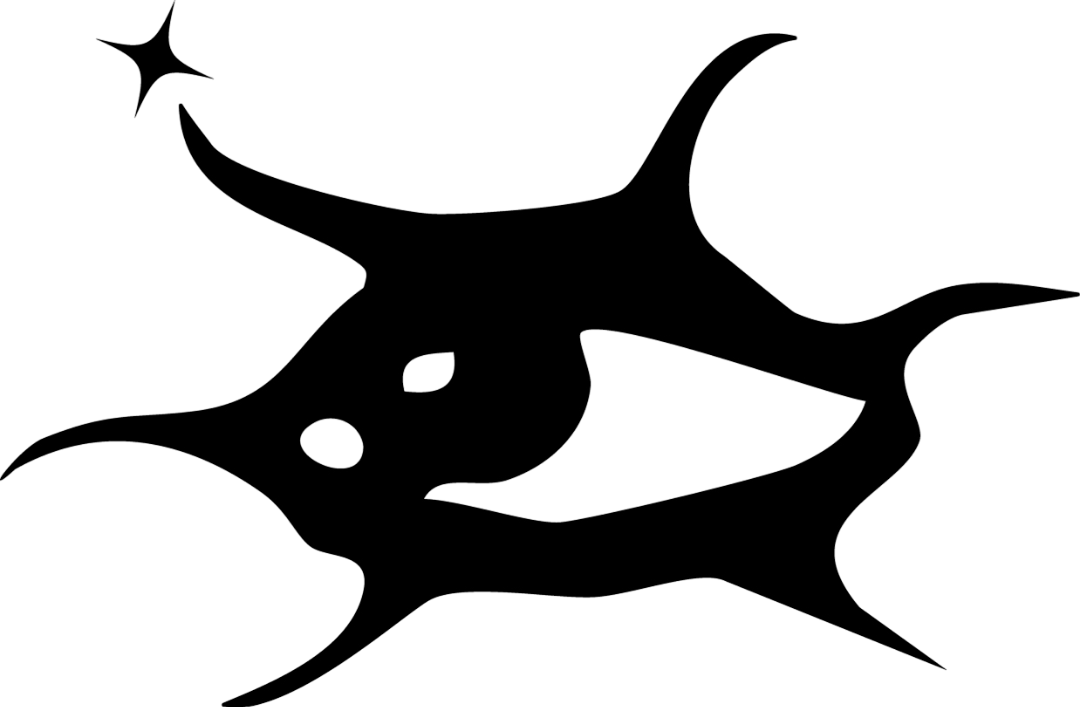 Vnoir